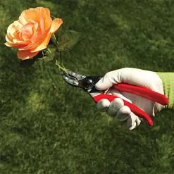 Felco 100 Special Application - Cut & Hold Pruning Shears 9 Felco 100 Special Application - Cut & Hold Pruning Shears -Gardening Shop 100fel 4