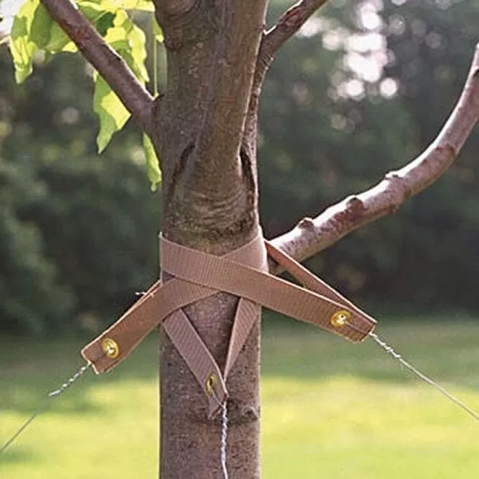 TREE STRAP BAG OF 100, 1-1/2IN X 18IN 2 TREE STRAP BAG OF 100, 1-1/2IN X 18IN - Image 2