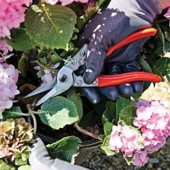 Leonard Straight Blade Pruning Shears, 8.625-inch Length 9 Leonard Straight Blade Pruning Shears, 8.625-inch Length -Gardening Shop 1204 4