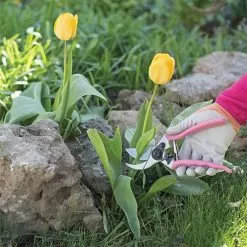 Pink Leonard Traditional Bypass Pruners, 1-Inch Cutting Capacity -Gardening Shop 1286p 5