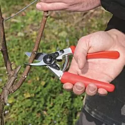 Felco 12 Revolving Handle Model - Ergonomic & Compact One-Hand Pruning Shear -Gardening Shop 12fel vineyard
