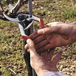 Felco 13 Multipurpose Pruning Shears - Use With 1 Or 2 Hands -Gardening Shop 13fel in use