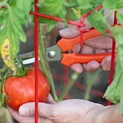 Leonard Pointed Tip Stainless Steel Hand Shears, 7.5-inch Length -Gardening Shop 1503 3 1