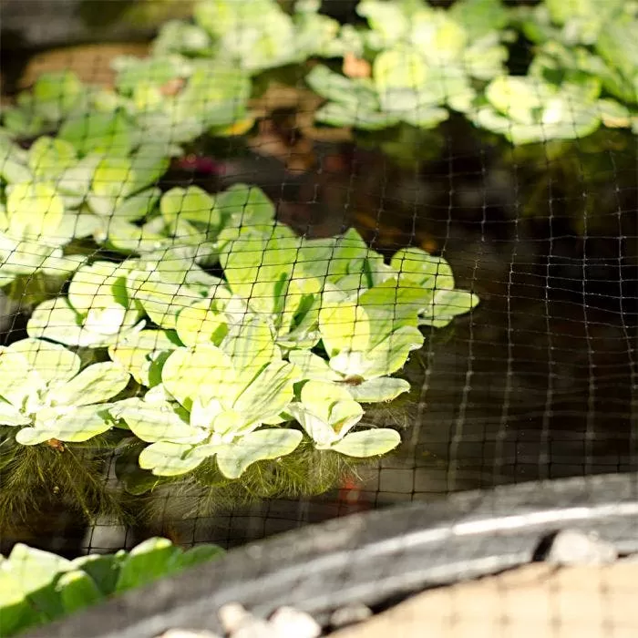 Netting 28ft X 28ft 3/4in Square Mesh Bird Control 2 Netting 28ft X 28ft 3/4in Square Mesh Bird Control - Image 2