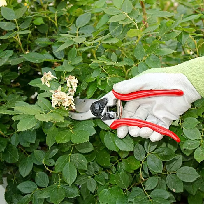 Felco 2 Classic Model - One-Hand Pruning Shear 9 Felco 2 Classic Model - One-Hand Pruning Shear - Image 9