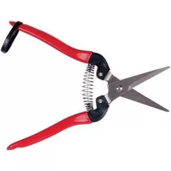 ARS Needle Nose Hand Shears, 7.5-inch Length -Gardening Shop 300dx 3