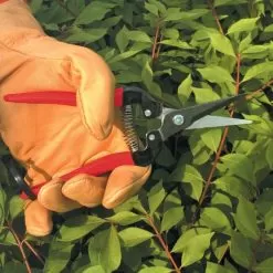 ARS Needle Nose Hand Shears, 7.5-inch Length -Gardening Shop 300l 4 1