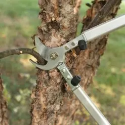 Leonard 20in Professional Lifetime Lopper 1.5in Capacity 10 Leonard 20in Professional Lifetime Lopper 1.5in Capacity -Gardening Shop 39200 4 1