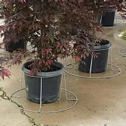 Better Bilt TopHat Plant Container Stabilizer - 20 Gallon Size -Gardening Shop 3ps20 2 1