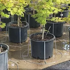 Better Bilt TopHat Plant Container Stabilizer - 5 Gallon Size