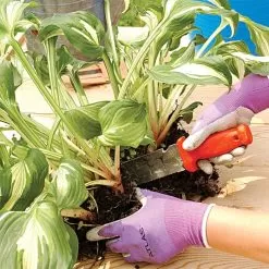 Leonard Deluxe Soil Knife, Pruner, Saw, And Sheath Combo -Gardening Shop 4752 4 1