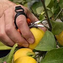 Leonard Harvesting Shear With Finger Strap -Gardening Shop 512hv 4