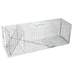 Live Animal Trap Rear Release 36in X 11in X 12in