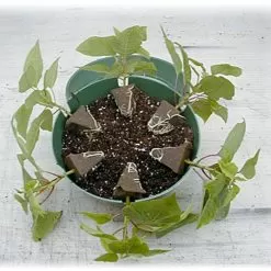 Belden Plastics 10 Inch Hanging Garden Baskets Case Of 25 -Gardening Shop 690202 2