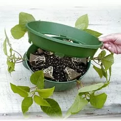 Belden Plastics 10 Inch Hanging Garden Baskets Case Of 25 -Gardening Shop 690202 3