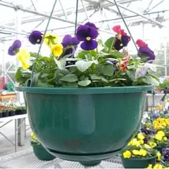 Belden Plastics 10 Inch Contemporary Baskets Case Of 50 -Gardening Shop 6905180 3