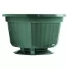 Belden Plastics 10-Inch Pop Baskets, Green, Case Of 50