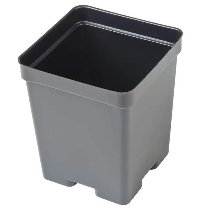 T.O. Plastics 4.5" Deep Square Pot SVD450, Bundle Of 300 1 T.O. Plastics 4.5" Deep Square Pot SVD450, Bundle Of 300