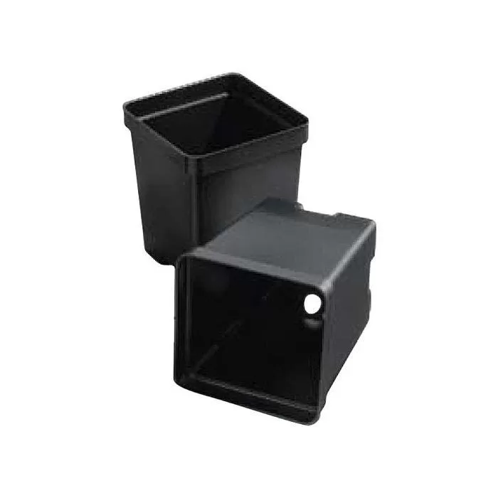 T.O. Plastics 4.5" Deep Square Pot SVD450, Bundle Of 300 2 T.O. Plastics 4.5" Deep Square Pot SVD450, Bundle Of 300 - Image 2