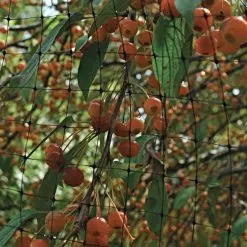 Netting, 7 Feet X 100 Feet, 3/4-Inch Square, Mesh -Gardening Shop 725pn 2