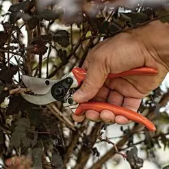 Leonard Contractor-Grade Bypass Pruners -Gardening Shop 835 2