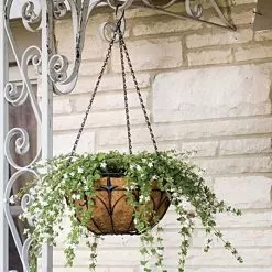 Wire Hanging Basket Fleur De Lis Coco Liner And Chain 14in Diam 5 Wire Hanging Basket Fleur De Lis Coco Liner And Chain 14in Diam -Gardening Shop 88512 2