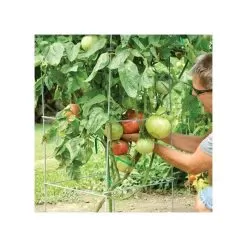 Super-Sturdy Professional Folding Tomato Cage, 60in X 18in -Gardening Shop 89713 2
