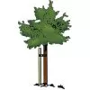 Tree Stakes Wood 1.5"x8'