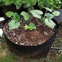 Leonard Grow Bags, 25-Gallon Size, Bundle Of 10 -Gardening Shop agb25 1