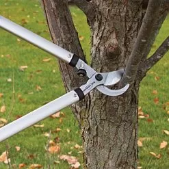 Leonard Forged Steel Bypass Loppers, 1-3/4-Inch Cutting Capacity 12 Leonard Forged Steel Bypass Loppers, 1-3/4-Inch Cutting Capacity -Gardening Shop aml32 5