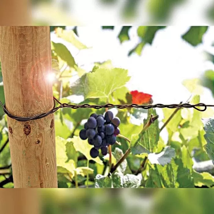 DuraLine 4-Millimeter Monofilament Trellis Line, 1,000 Feet 3 DuraLine 4-Millimeter Monofilament Trellis Line, 1,000 Feet - Image 3