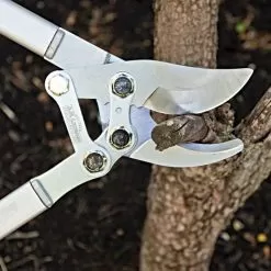 Leonard Compound Action Bypass Loppers, 2-1/8-Inch Cutting Capacity -Gardening Shop c850 2