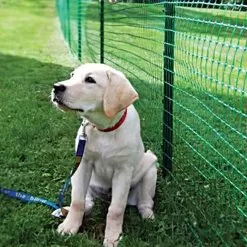 Standard Strength Pet Fence, 4ft X 330ft -Gardening Shop cn433 2