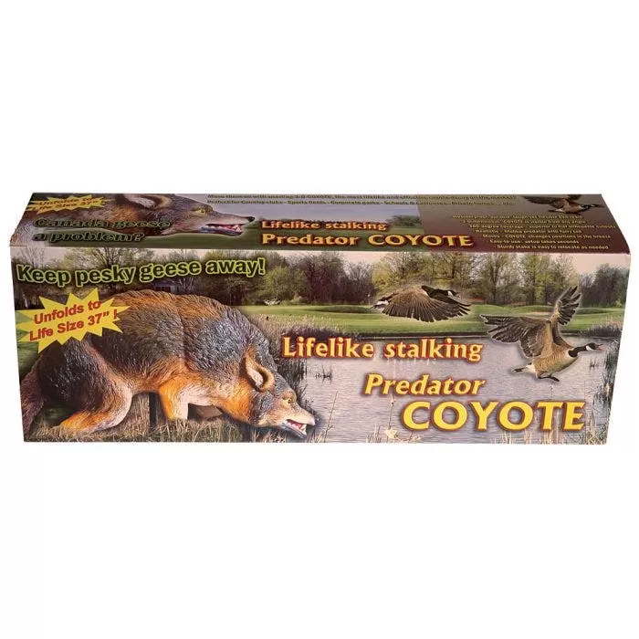 3D Coyote Life-like Goose, Duck And Rabbit Decoy 4 3D Coyote Life-like Goose, Duck And Rabbit Decoy - Image 4