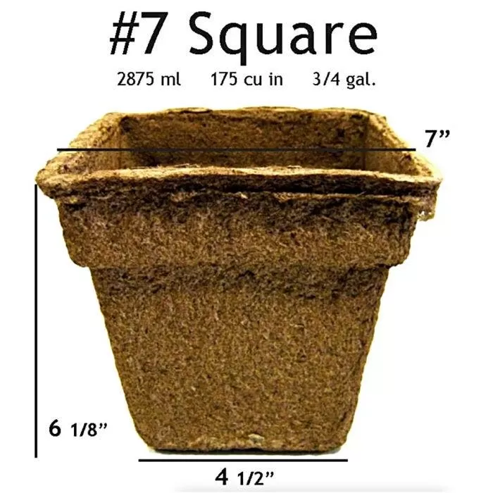 CowPots #7 Square Pots, Case Of 90 2 CowPots #7 Square Pots, Case Of 90 - Image 2