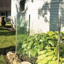 Deer-Terrent Netting Rolls, 330' X 18" -Gardening Shop dtrl sm 1 1