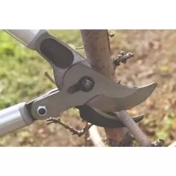 FELCO 220 LOPPING SHEAR WITH COMPOUND LEVER ACTION 1-1/2IN CUTING CAPACITY -Gardening Shop f220 live horz