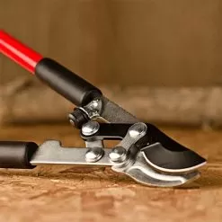 Corona Easy Cut Extendable Bypass Lopper -Gardening Shop fl3471 3 1
