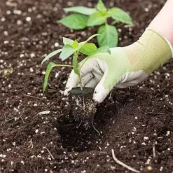 Grow-Plugs, Case Of 1,400 -Gardening Shop fp1400 5