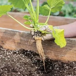 Grow-Plugs, Case Of 1,400 -Gardening Shop fp1400 6
