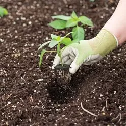 Grow-Plugs, Bag Of 55 -Gardening Shop fp55 2 1