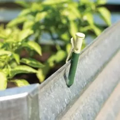 Deer & Rabbit Repellent Garlic Clips, Pack Of 25 -Gardening Shop garclip 4 1