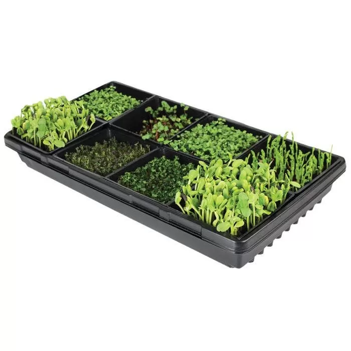 Sectional Hydroponic Microgreens Starter Kit 2 Sectional Hydroponic Microgreens Starter Kit - Image 2