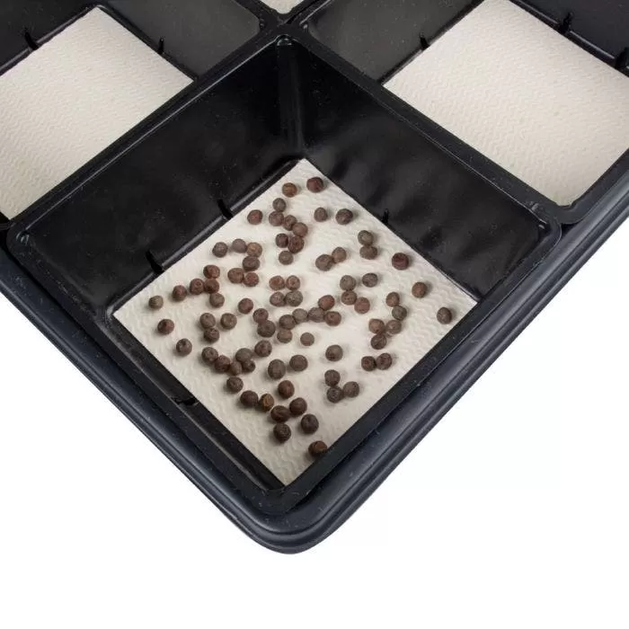 Sectional Hydroponic Microgreens Starter Kit 7 Sectional Hydroponic Microgreens Starter Kit - Image 7