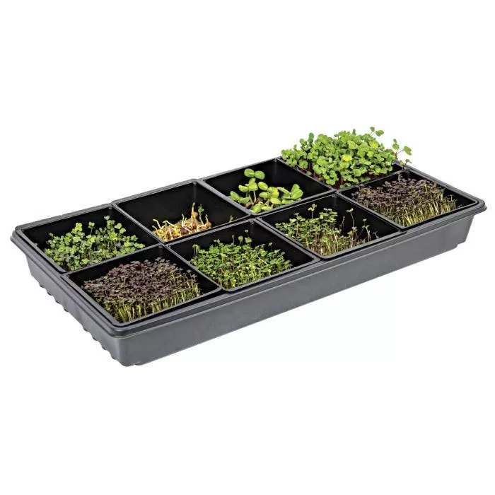 Sectional Hydroponic Microgreens Starter Kit 3 Sectional Hydroponic Microgreens Starter Kit - Image 3