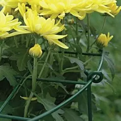 Commercial Steel Grid Plant Brace, 25in X 16in -Gardening Shop gpb 3