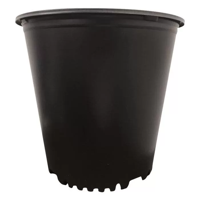 Haviland High Performance Series Thermoformed HDPE, 5-Gallon, Bundle Of 55 1 Haviland High Performance Series Thermoformed HDPE, 5-Gallon, Bundle Of 55