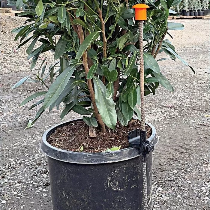 HookStake, Pack Of 25 3 HookStake, Pack Of 25 - Image 3