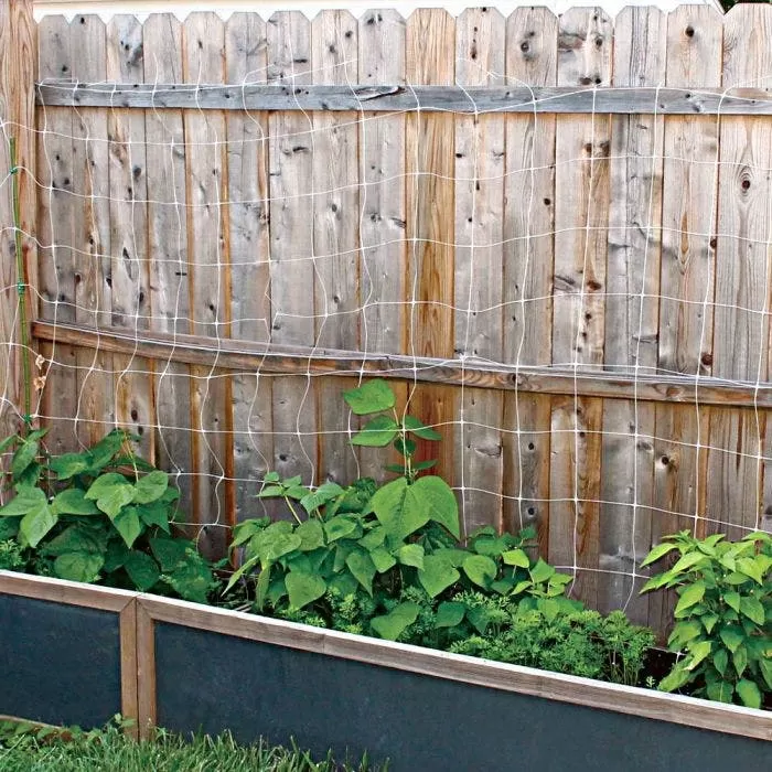 Hortonova Trellis Netting, 6-1/2 Feet X 3,280 Feet 11 Hortonova Trellis Netting, 6-1/2 Feet X 3,280 Feet - Image 11