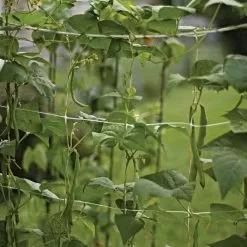 Hortonova Trellis Netting, 6-1/2 Feet X 3,280 Feet 32 Hortonova Trellis Netting, 6-1/2 Feet X 3,280 Feet -Gardening Shop htn63280 12